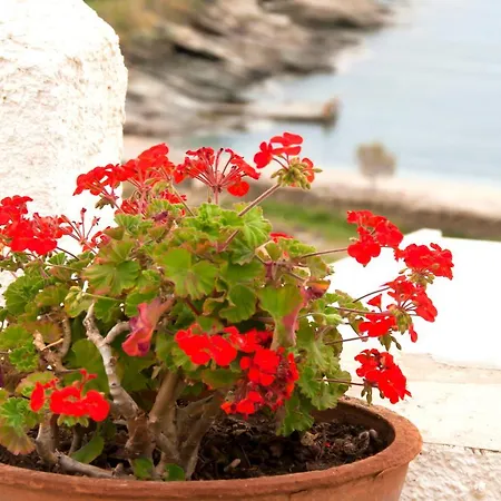 St. George بيت ضيافة